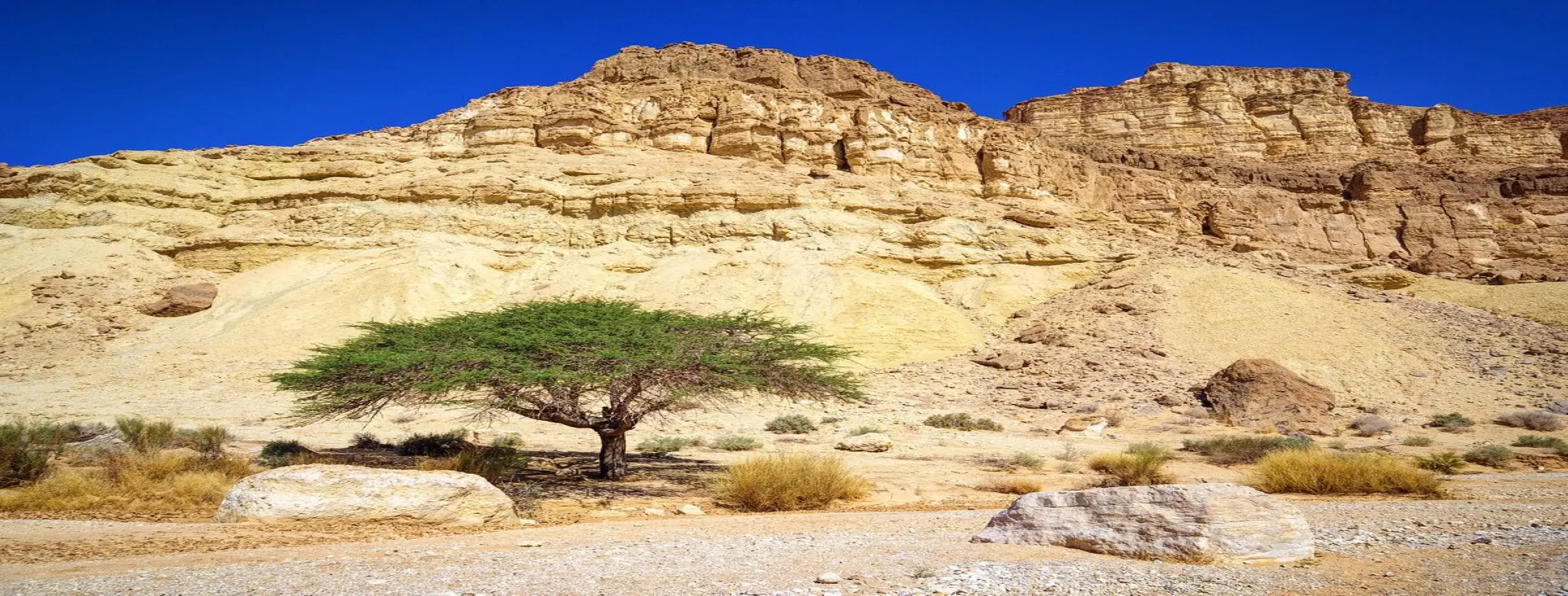 Image for Negev Desert Adventure